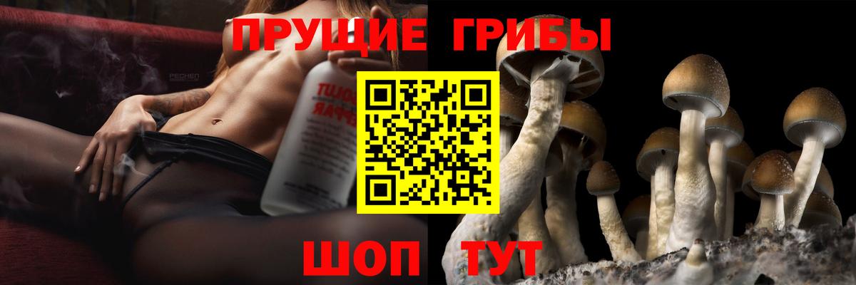 Железногорск  Галлюциногенные грибы мицелий  Вход с VPN 